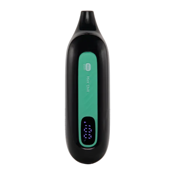 BUY 1 GET 1 FREE Mint Chill FLONQ Max Smart | Vape Amazon India Flonq