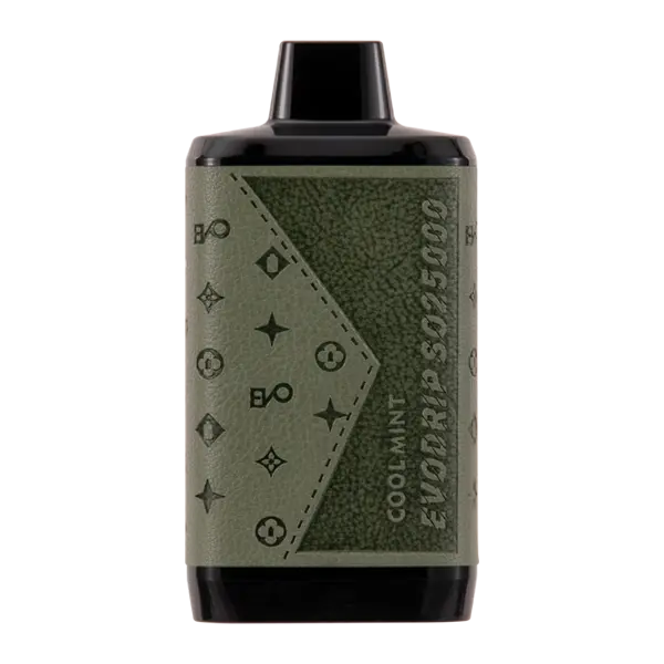 BUY 1 GET 1 FREE Cool Mint EVODRIP SO25000 | Vape Amazon India