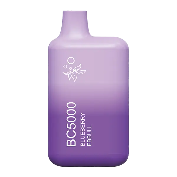 BUY 1 GET 1 FREE Blueberry Energize BC5000 | Vape Amazon India