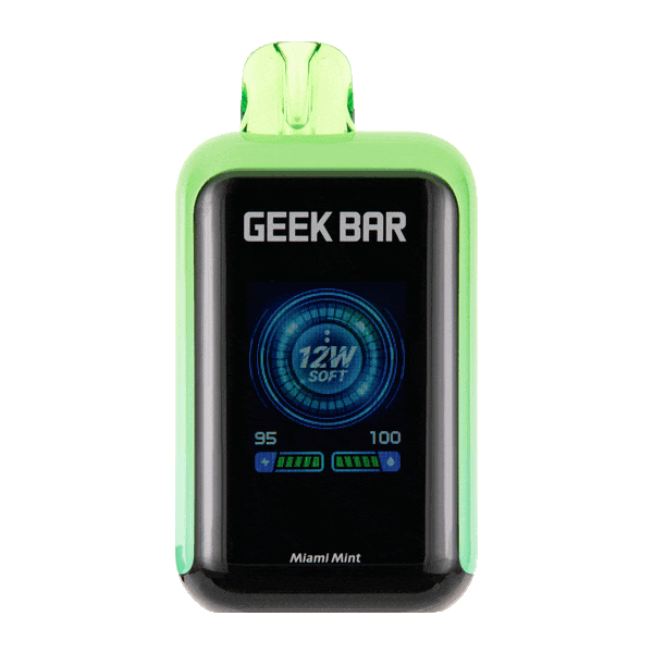 BUY 1 GET 1 FREE Miami Mint Geek Bar SkyView 25K | Vape Amazon India